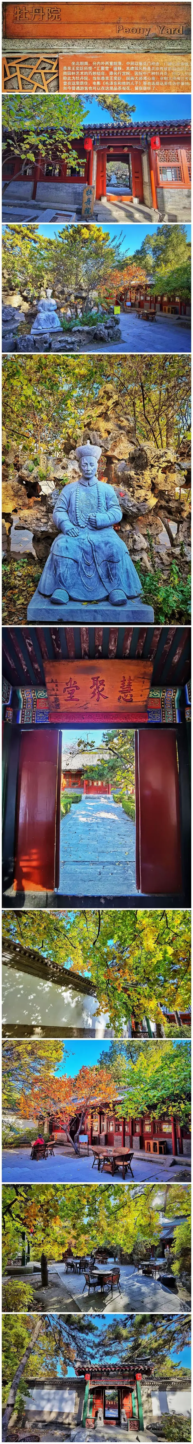 时尚京西风似电飞，戒爆五台深沉