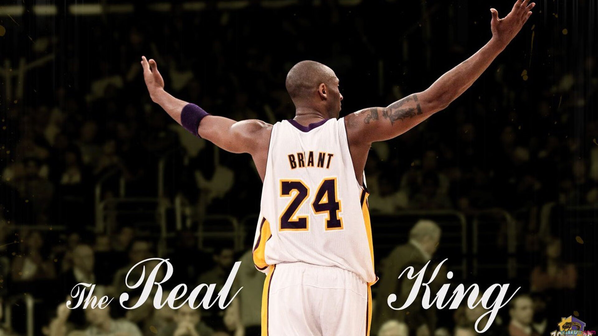 新星崛起，格局重塑，皮亚斯特里独扛大旗，雷诺车队完胜红牛二队的启示